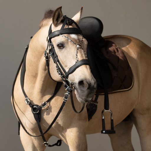Bridles